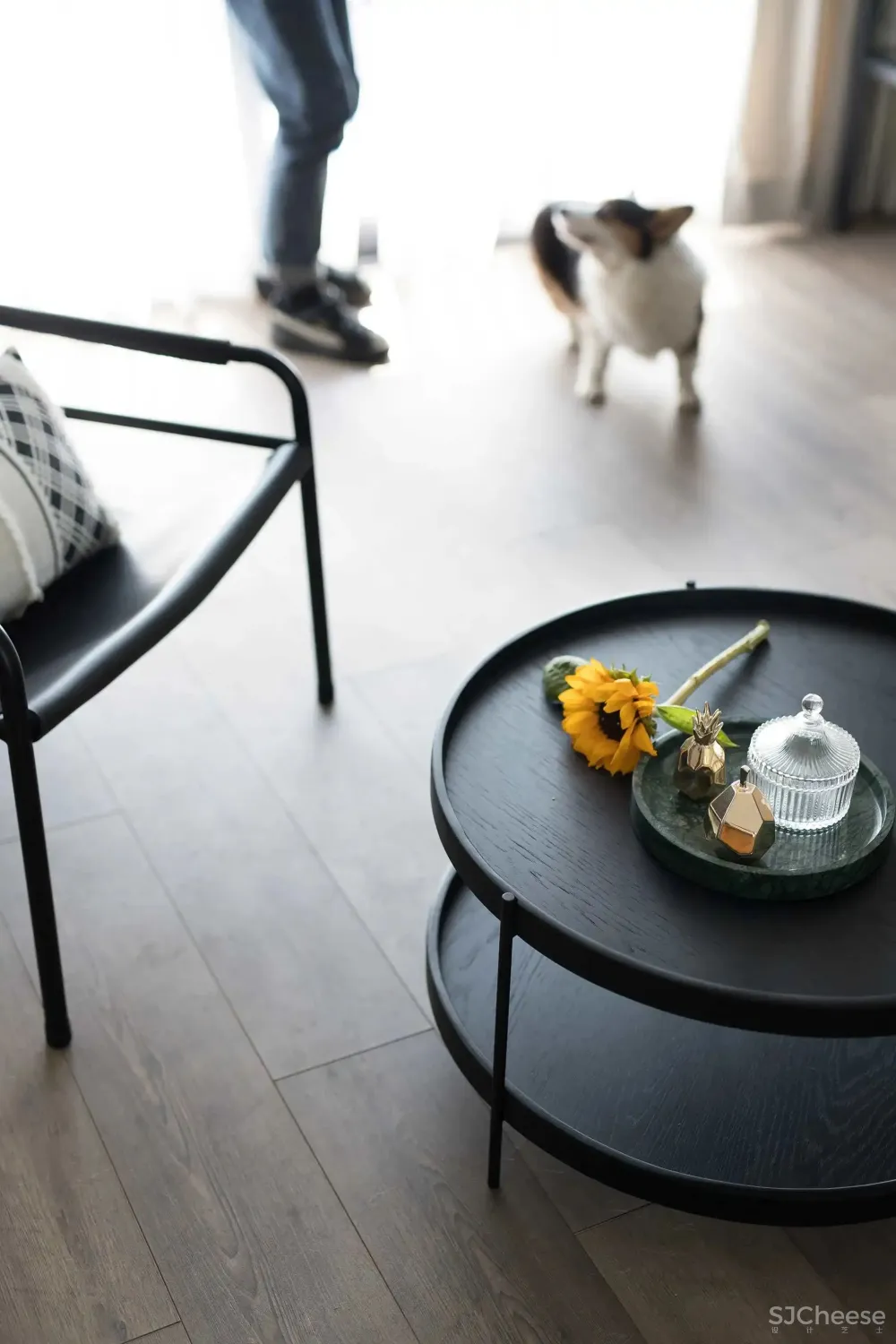 其实女人的要求并不高，只需要这样一个温馨的家就够了。