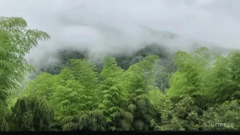 会滑动的民宿|了如三舍民宿改造