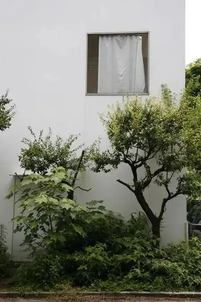 经典住宅合辑 从阿尔托到库哈斯，探讨住宅设计的落脚点