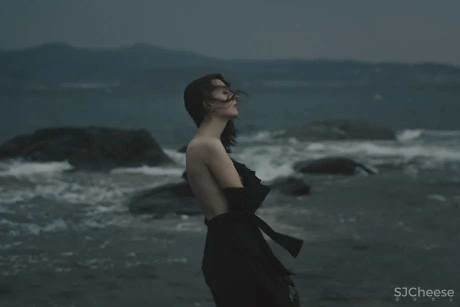 文章|仅20%的设计师认识【高级灰】