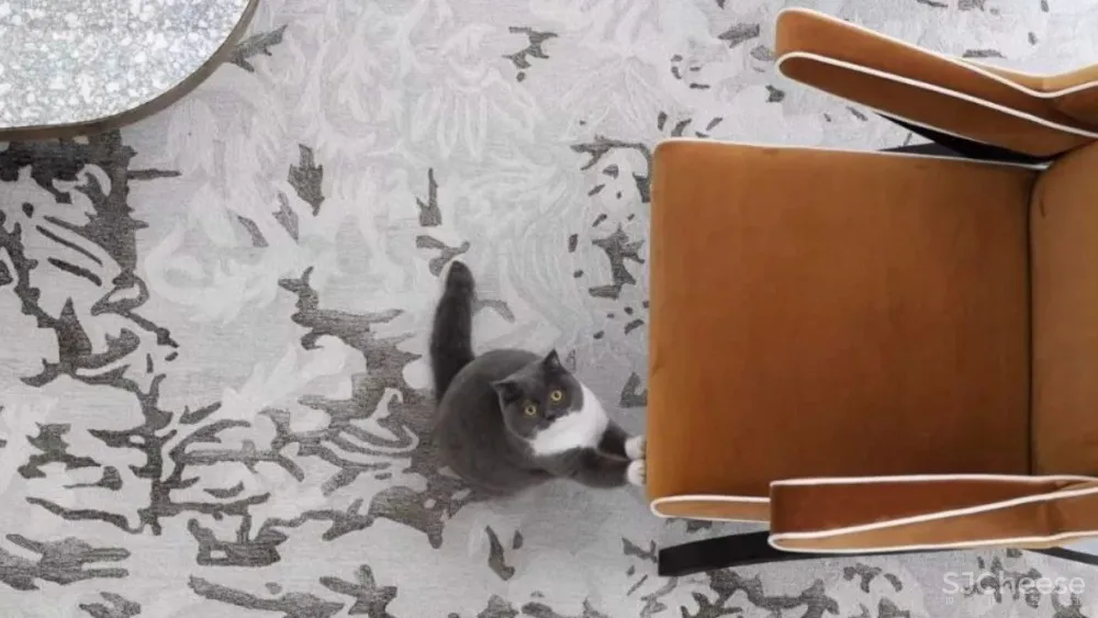 收藏 2020 22年度色彩热点趋势