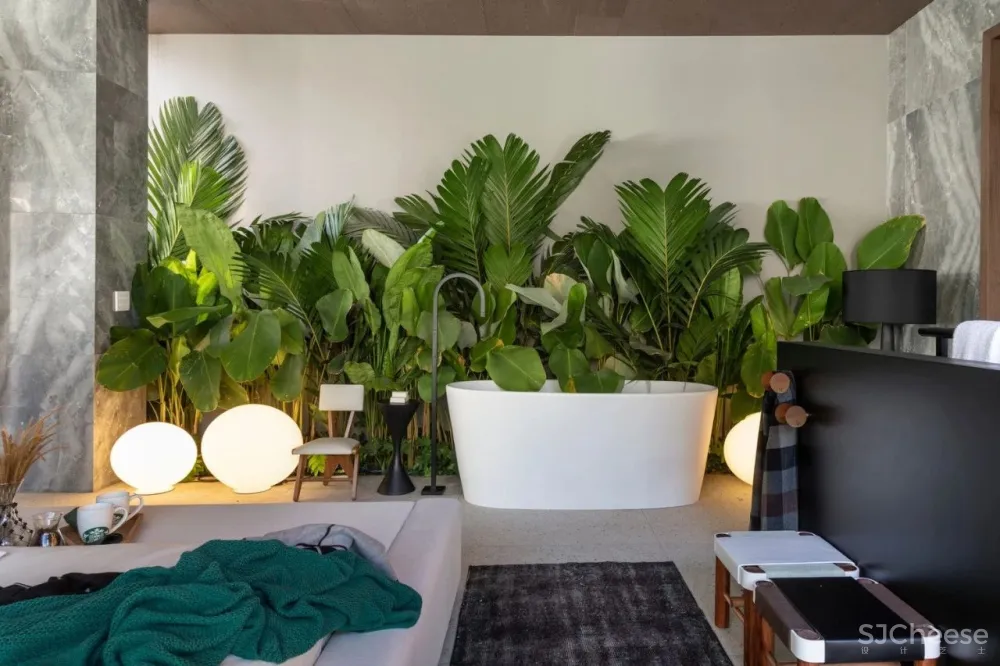 圣保罗 :GrãoHouse 的房子