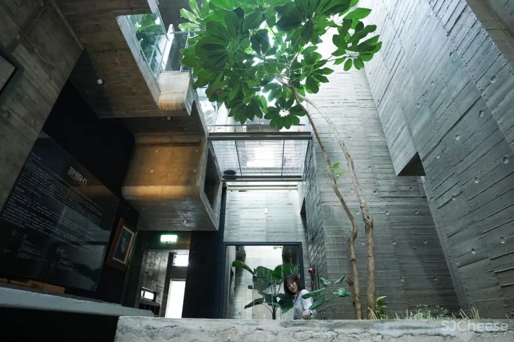 乡下大妈请日本人造房,修了6年,一扇窗都没有