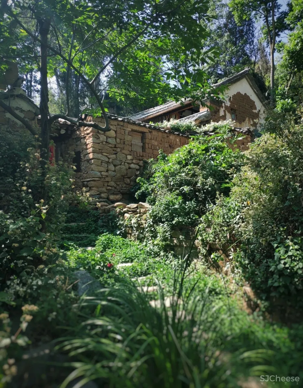 舒坦:在大理凤阳邑喝茶、洗片,他的“原生”乡建有何特别?