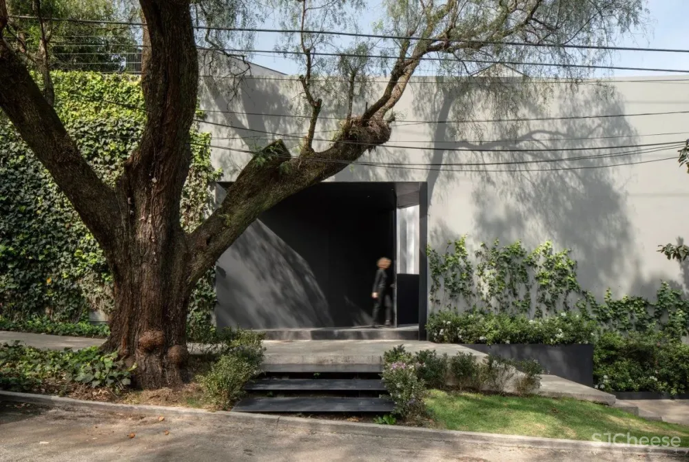 Francesc Rifé 专辑