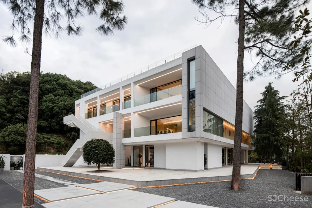 杉树林里的极美民宿