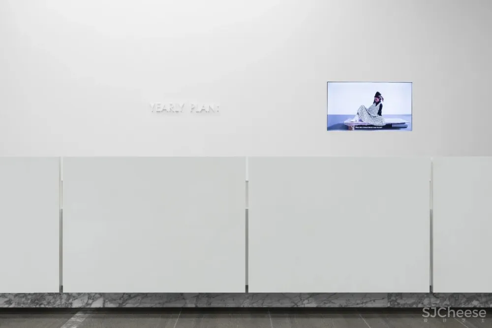 王鹏:一场跨越亿万年的爱恋!