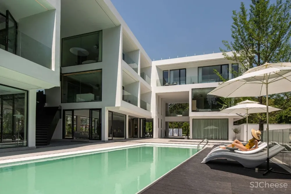 杉树林里的极美民宿