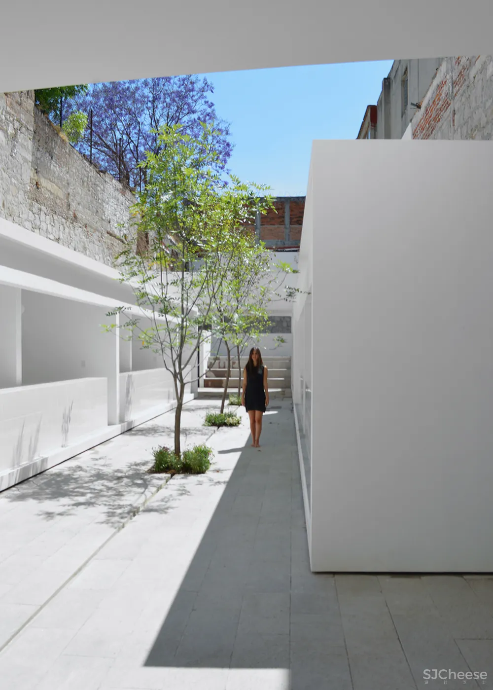 墨西哥的5个白色房子,纯净到让人感动!