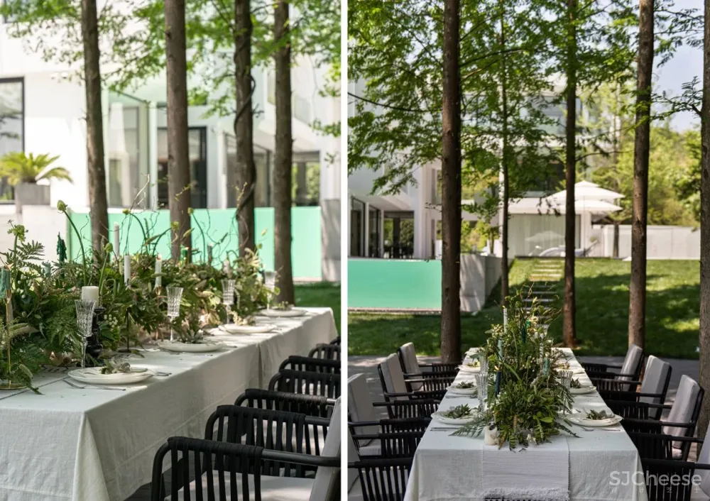 杉树林里的极美民宿