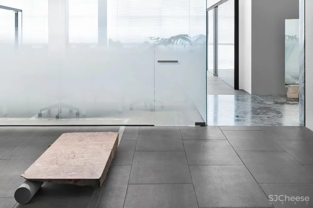 王鹏:一场跨越亿万年的爱恋!