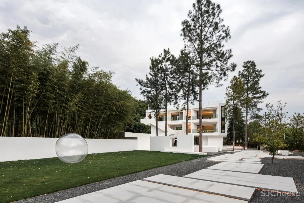 杉树林里的极美民宿