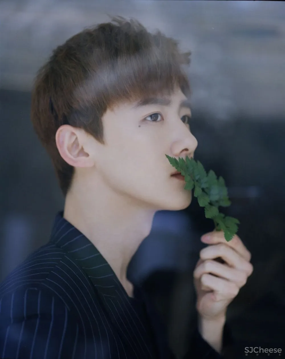 别止:重庆南山上的白房子,让人“重返18岁”