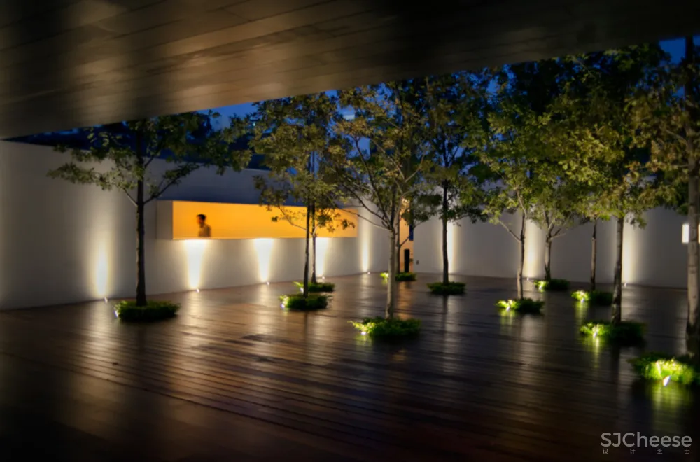 墨西哥的5个白色房子,纯净到让人感动!