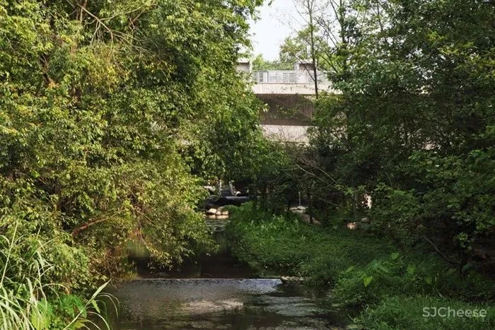 当桥遇上建筑，竟然可以这么美