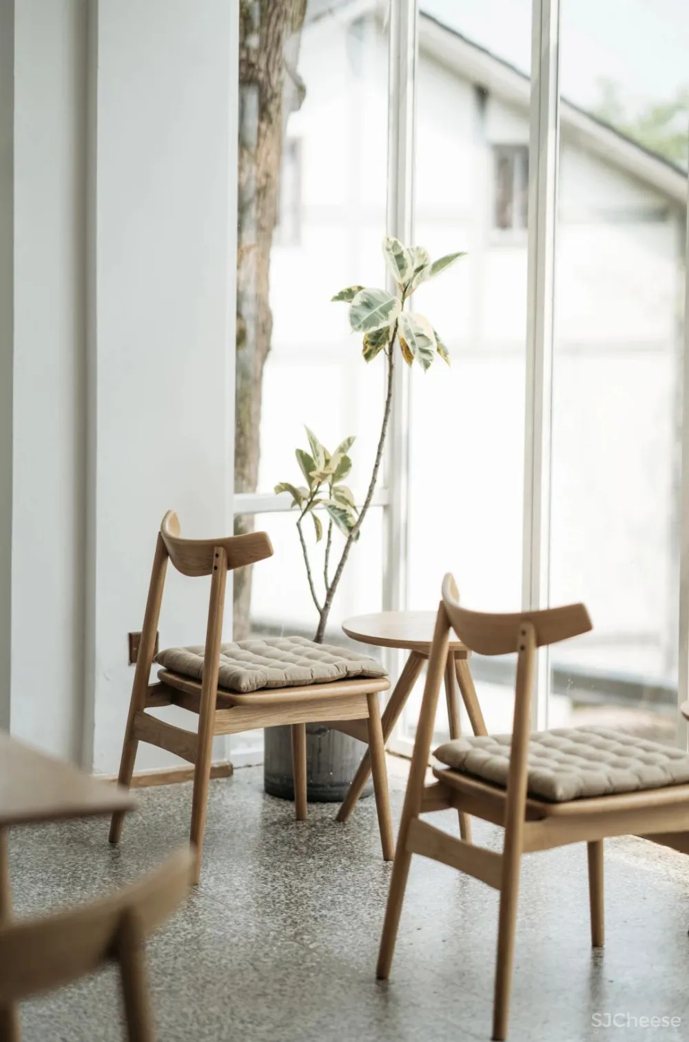 别止:重庆南山上的白房子,让人“重返18岁”