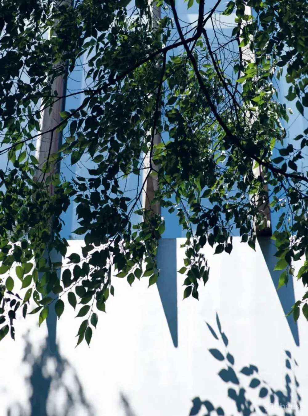 隈研吾10大经典住宅,从民宅到超豪顶奢,你想要的都在这里