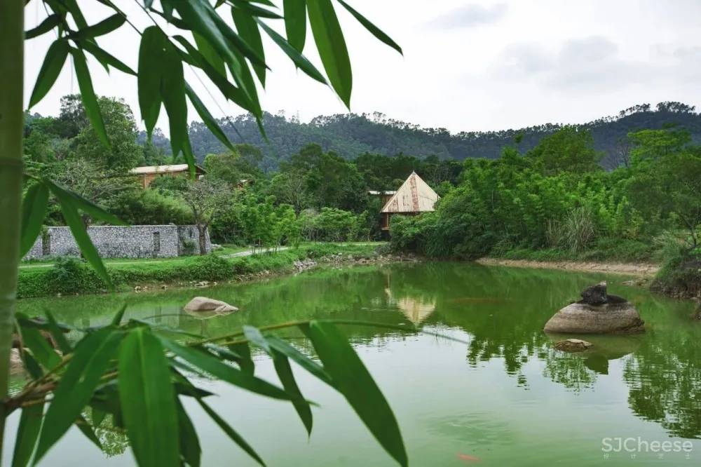 一个广东宅男,把游戏场景搬进30000m²的后花园,20年了还没造完