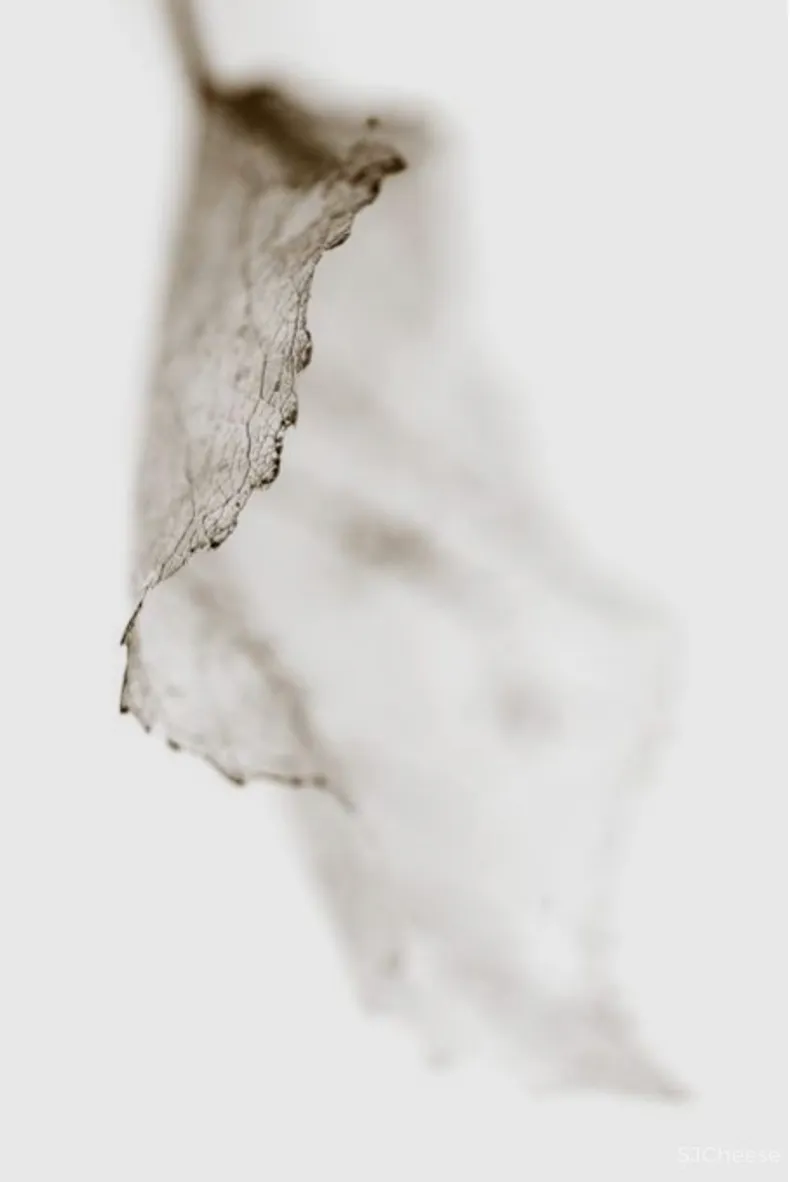 AOD设计新作丨邕江的漂浮售楼处