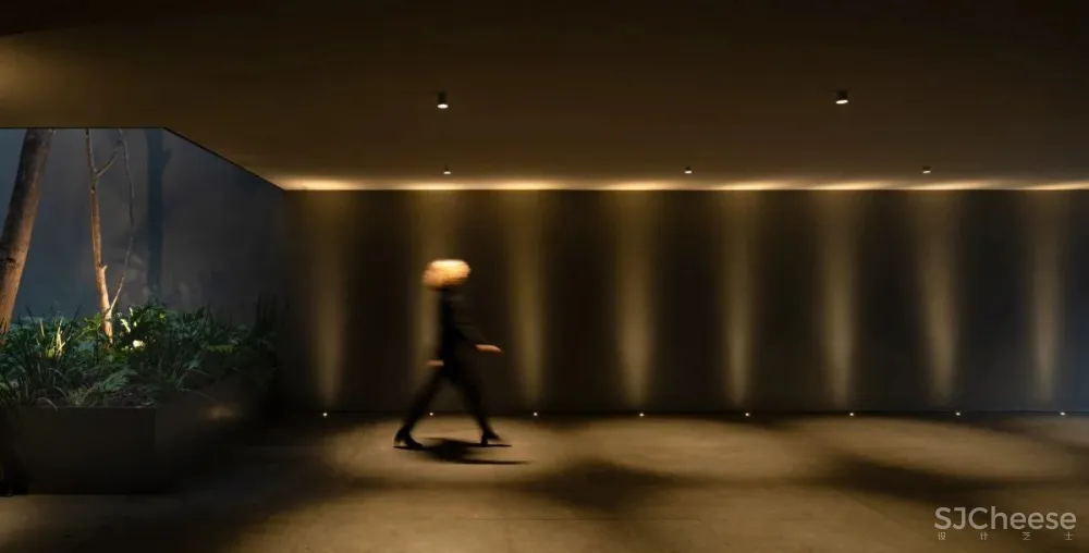 Francesc Rifé 专辑