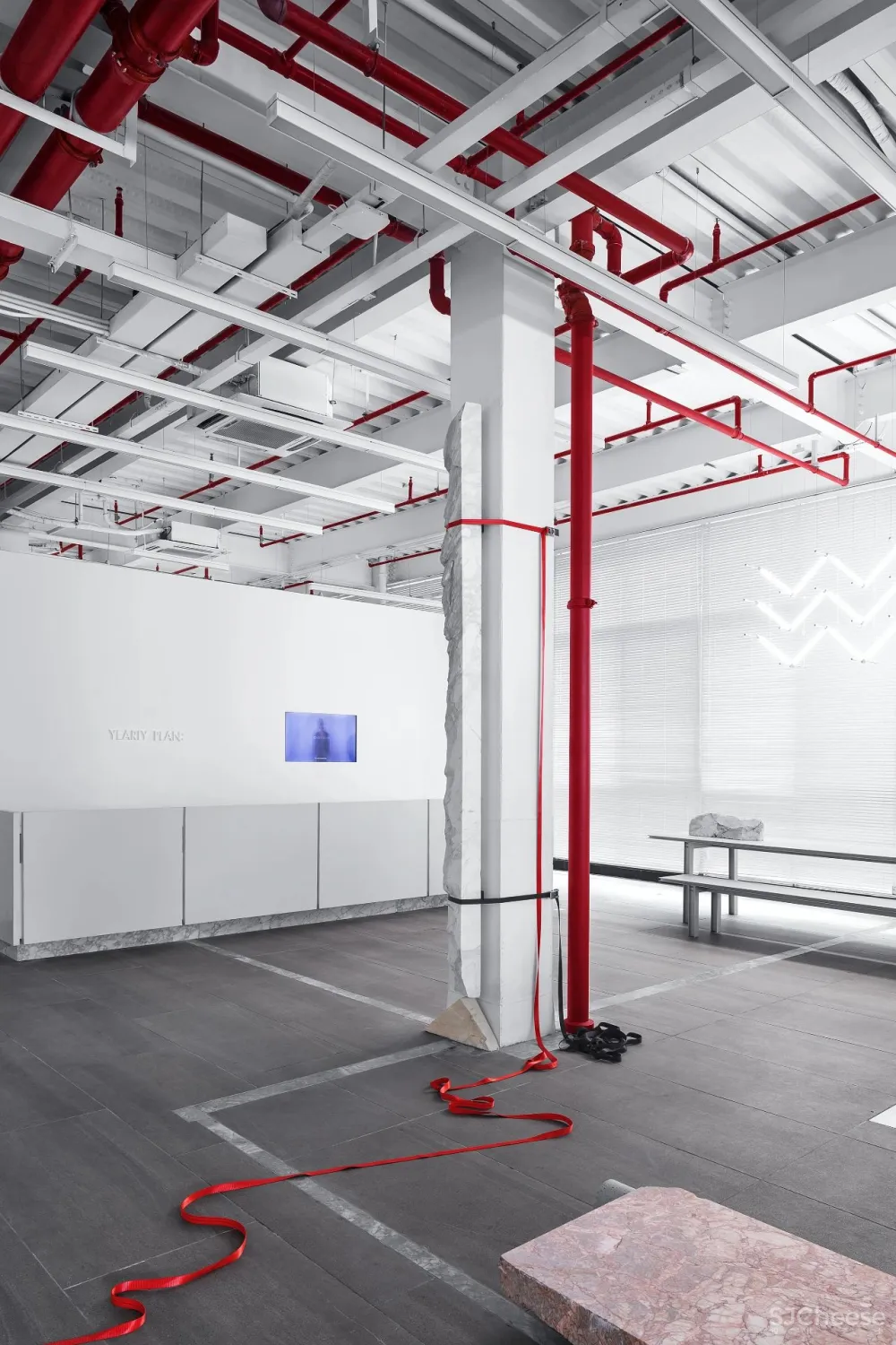 王鹏:一场跨越亿万年的爱恋!