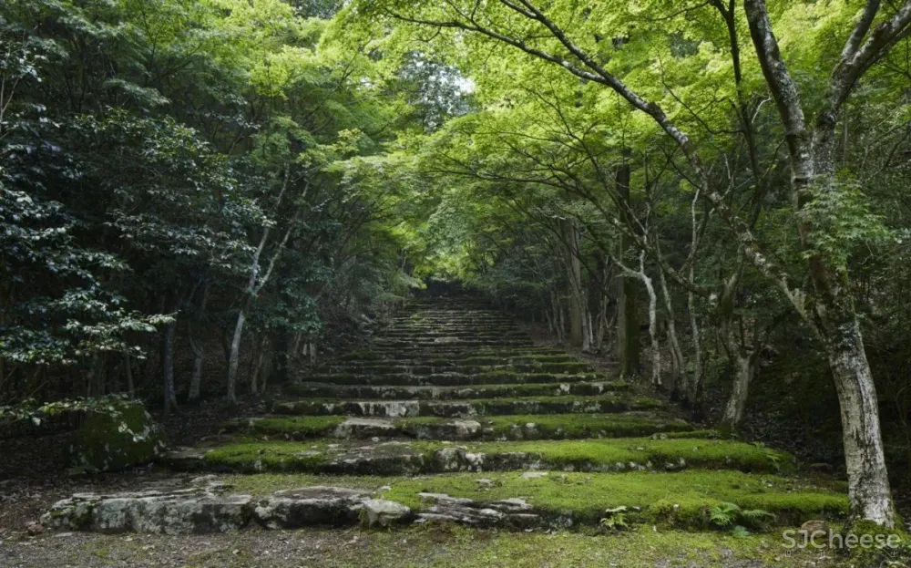 Kerry Hill 设计专辑