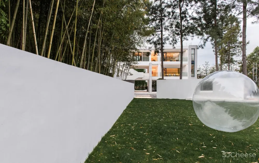 杉树林里的极美民宿