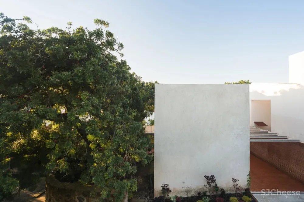 Productora丨超现实的狂野建筑幻想