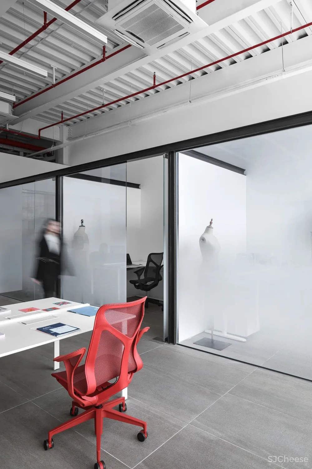 王鹏:一场跨越亿万年的爱恋!