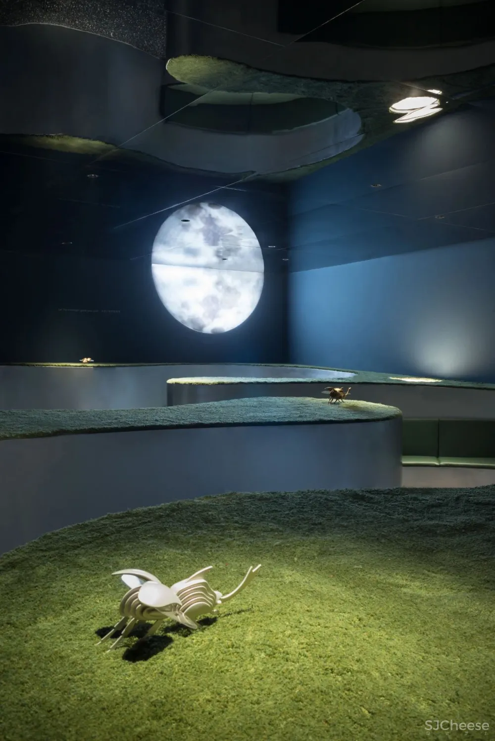 立品设计 郑铮：沙漠、森林、奇境！ 颠覆你对足浴、SPA的认知