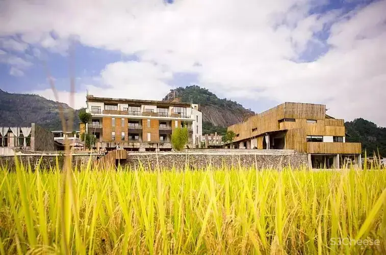 中国最美的50家民宿院子