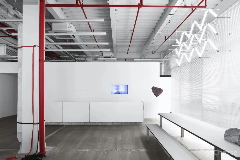 王鹏:一场跨越亿万年的爱恋!