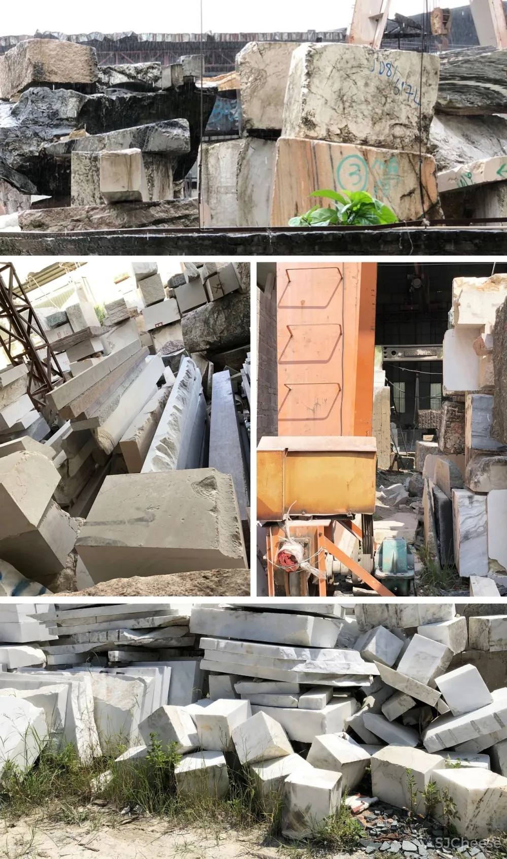 王鹏:一场跨越亿万年的爱恋!