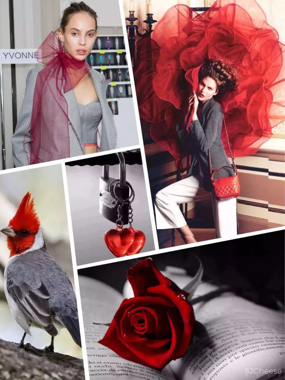 高级灰 红色，当代东方优雅美学的完美演绎