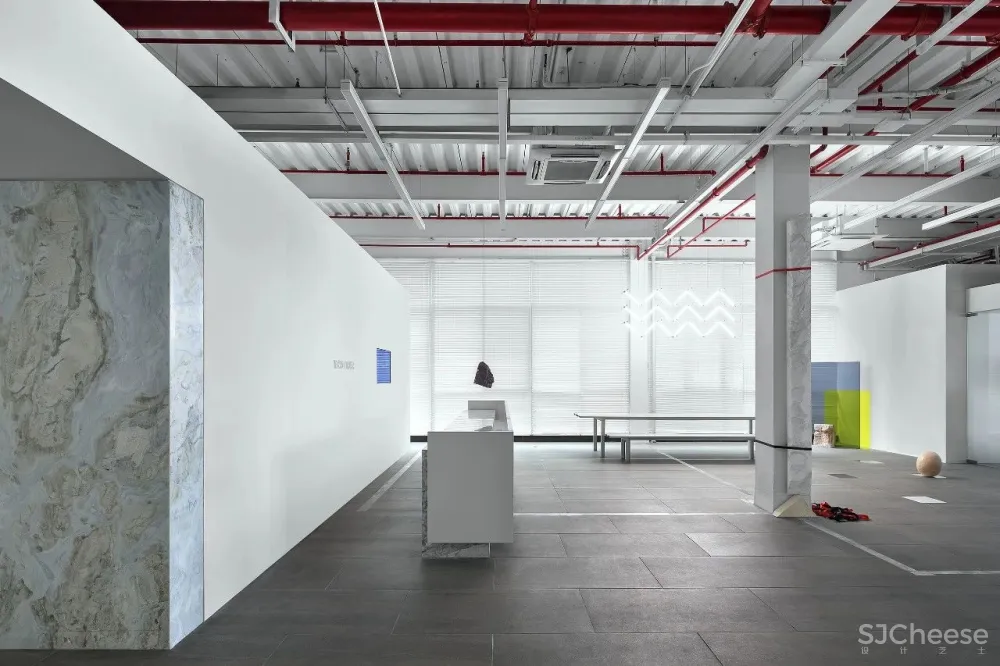 王鹏:一场跨越亿万年的爱恋!