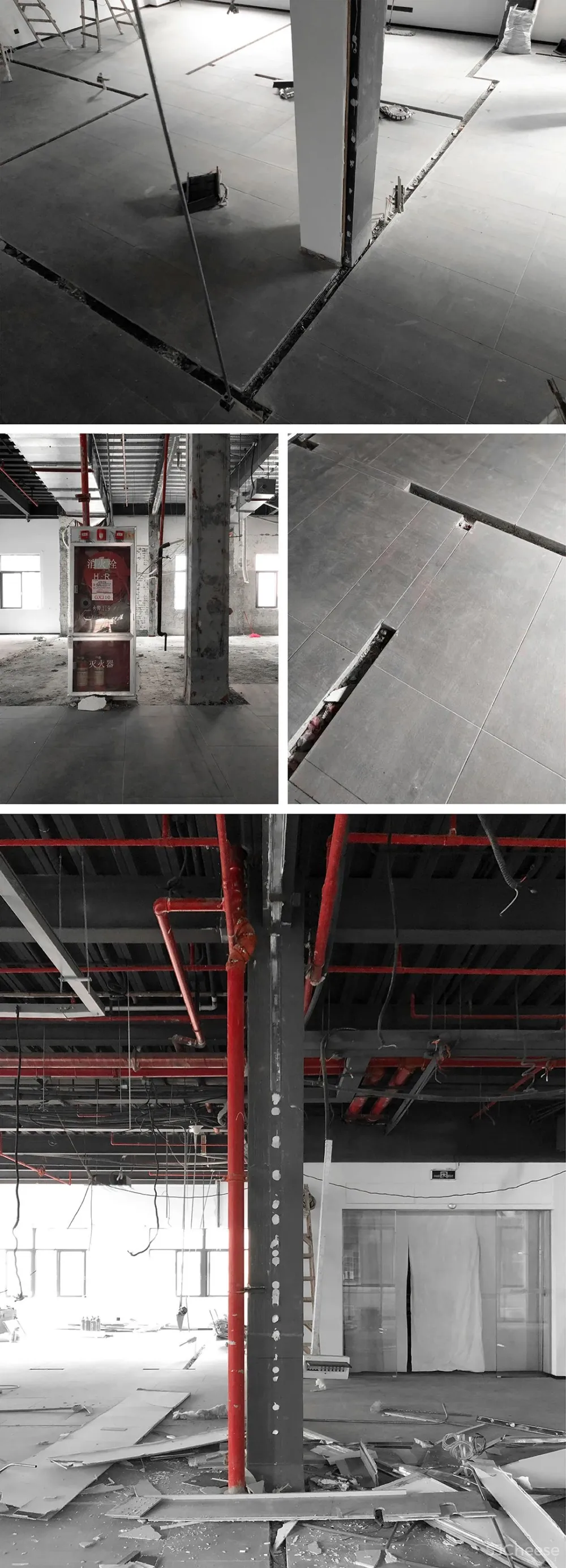 王鹏:一场跨越亿万年的爱恋!