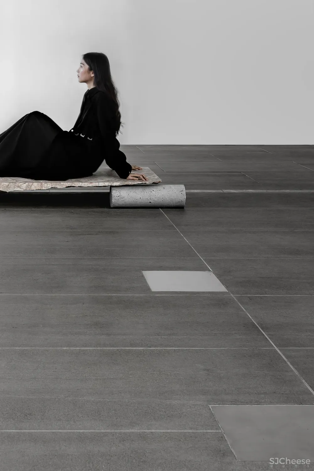 王鹏:一场跨越亿万年的爱恋!