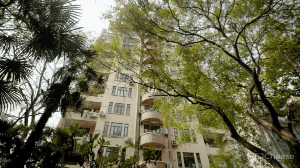 上海滩风流一哥的私宅:拒绝极简,宝贝多到让人无处下脚