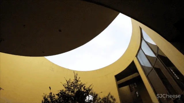 一个广东宅男,把游戏场景搬进30000m²的后花园,20年了还没造完