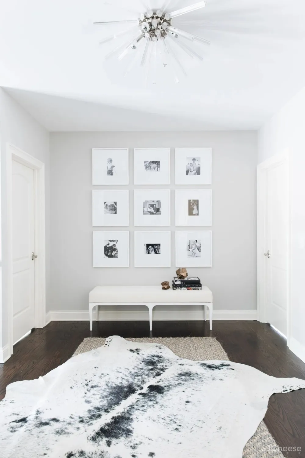 Donna Mondi 色彩视觉 与众不同