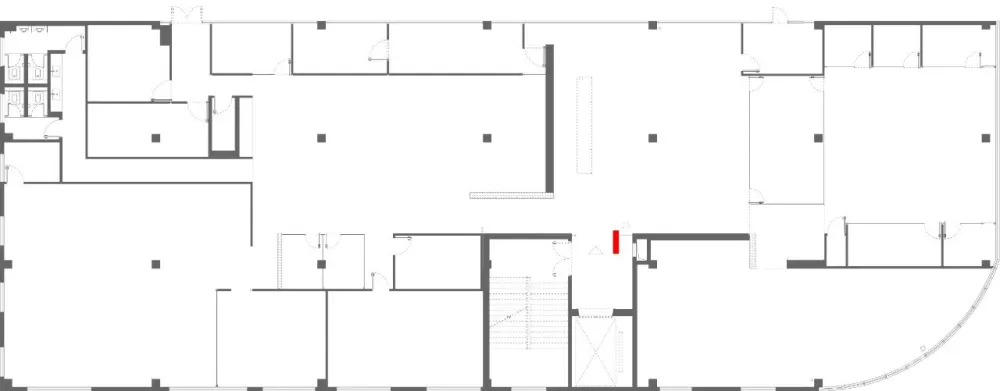 王鹏:一场跨越亿万年的爱恋!