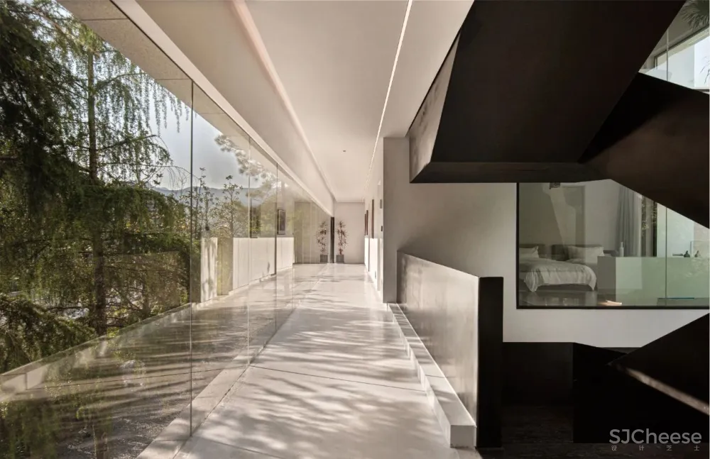 杉树林里的极美民宿