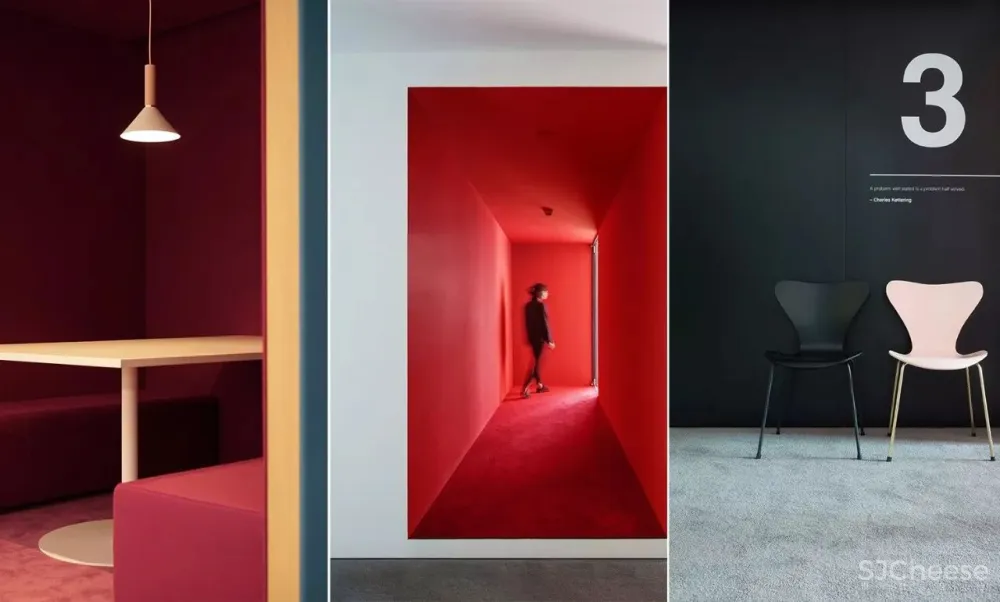 王鹏:一场跨越亿万年的爱恋!