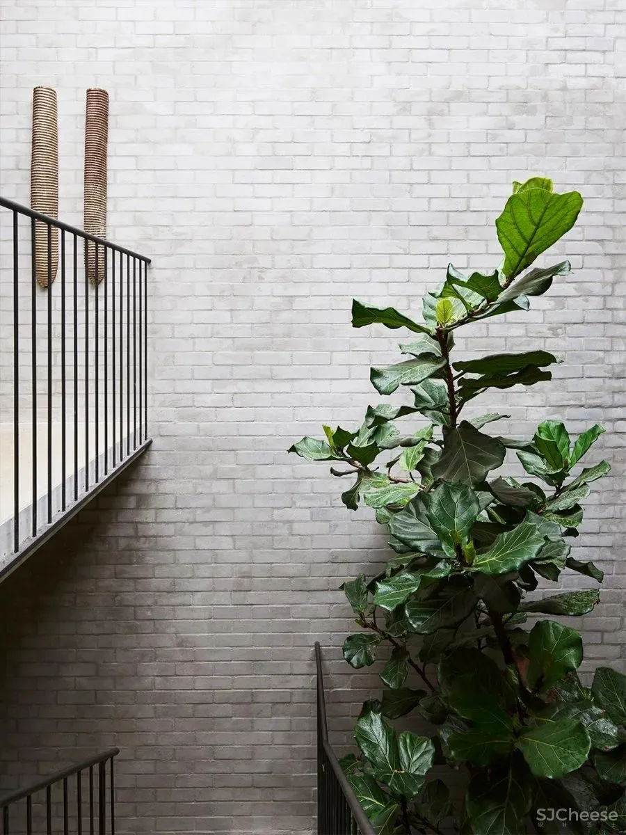 Arent - Pyke 设计专辑