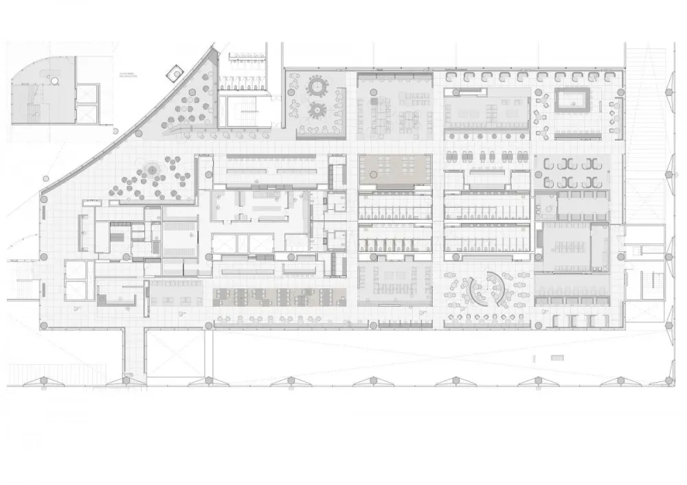 Francesc Rifé 专辑