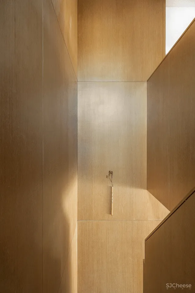 东西方自然观 共生形态设计