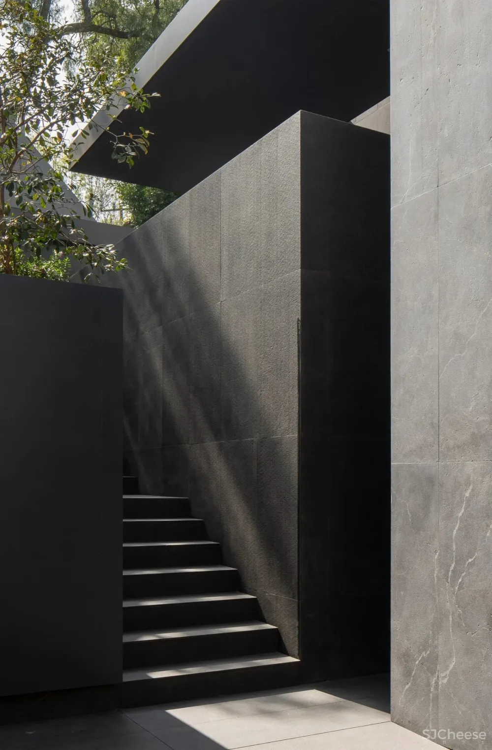 Francesc Rifé 专辑