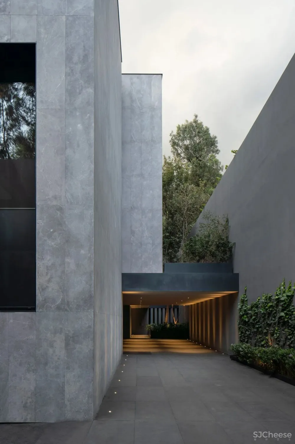 Francesc Rifé 专辑