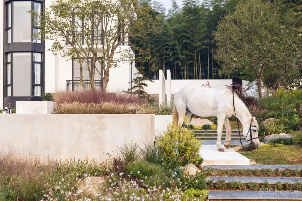 六大建筑师事务所设计的最美民宿!