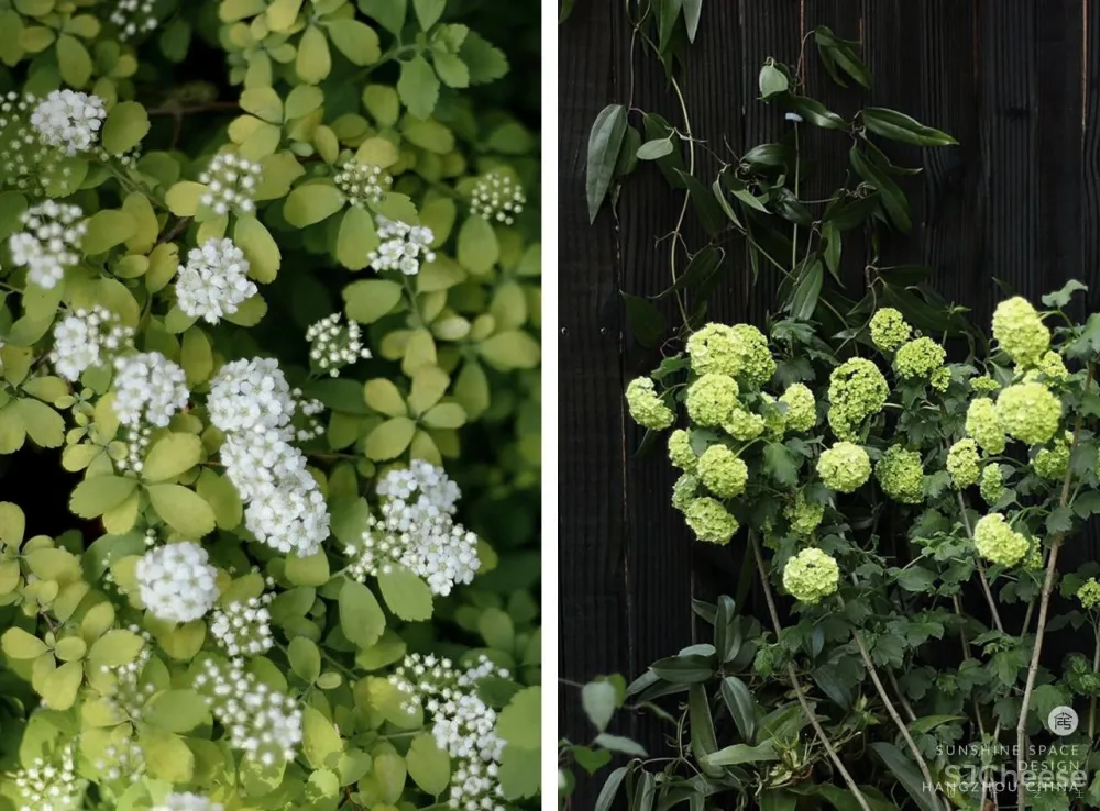 三台云舍 她和房东签下15年租约,来装成向往的度假屋